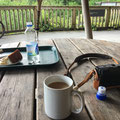 Coed y Brenin Forest Park cafe in the trees