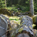Another forest trail at Coed y Brenin Forest Park