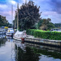 South Walsham Broad