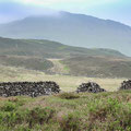 Walk through the hills at Cregennan Lakes