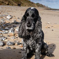 Mundesley Beach
