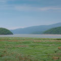 On the Mawddach Trail