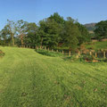 Around Penclogwynau cottage, first evening