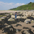 Harlech Beach