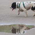 On Harlech beach
