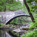 Coed y Brenin Forest Park trail