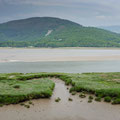 On the Mawddach Trail