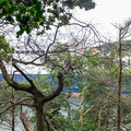 17th September: (am) Trelissick gardens and Fal river walk.