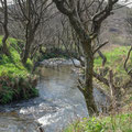 Walk from Vines Cottage towards Speke's Mill Mouth Waterfall