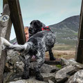 Millie over the ladder style .....