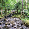 Lakeside walk at Dol Idris