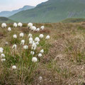 Walk through the hills at Cregennan Lakes