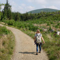 Coed y Brenin Forest Park trail