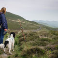 Walk through the hills at Cregennan Lakes