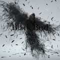 Aimer - Black Bird