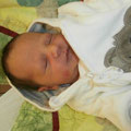 (c) www.babygalerie.at