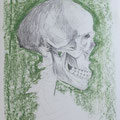 Schädel in Grün, Bleistift und Kreide auf Papier, 2018, 42 cm x 29,5 cm
