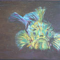 Seeteufel, Acryl auf Leinwand, 2018, 25 cm x 30 cm x 1 cm