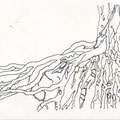 "Tree Roots" Design, Los Angeles, California  USA  ©1990, Ink on Paper
