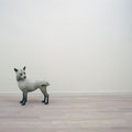 SELF－犬　2000　48×38×20㎝　檜・漆・白土・彩色　P早川宏一