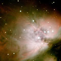 Der Orion-Nebel M42