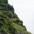 Blick zurück.