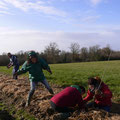plantation de haies