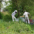 mise en place des ruches