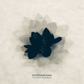 AYERMANIANA - FLORES NEGRAS - El Angel estudio - Mastering