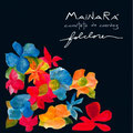 MAINARÁ - FOLCLORE - El Angel estudio - Mastering