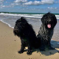 Camille und Cooper nach dem Baden