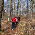 Wanderung bei Raderach