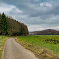 Wanderung bei Schnetzenhausen