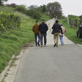 ein Verdauungsspaziergang in die Weinberge