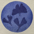 Le Ginko bleu