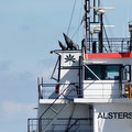 Alstership, Hamburg