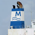 Minship Shipmanagement, Schnaittenbach