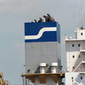 Synergy Maritime Holding, Athen
