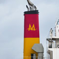 Manta Marine, Istanbul, Türkei