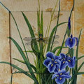 5. Iris 1/39x39 cm