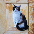 * 367. Katze 30 x 34 cm