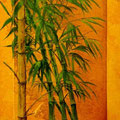 * 1. Bambus 1 40x61 cm