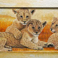 *426. Löwenbabys 70 x 38 cm