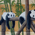 * 52. Pandas 60x38 cm