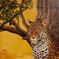 * 46. Leopard - Portrait 49x39 cm