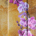 412. Orchidee 21x50 cm