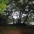 Wilpattu Nationalpark