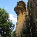 Felskobra im Felsentempel Sigiriya