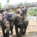 Maetaeng Elefantencamp