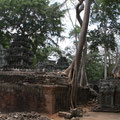 Ta Phrom, Siem Reap